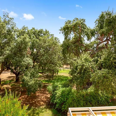 Beautiful With Big Terrace And Access To 3 Pools Elviria *