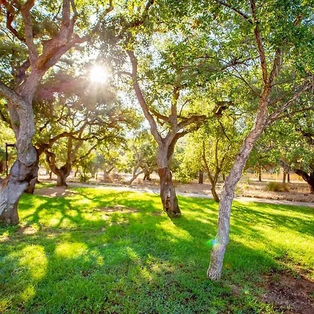 Beautiful With Big Terrace And Access To 3 Pools Elviria דירה *